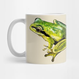 green frog Mug